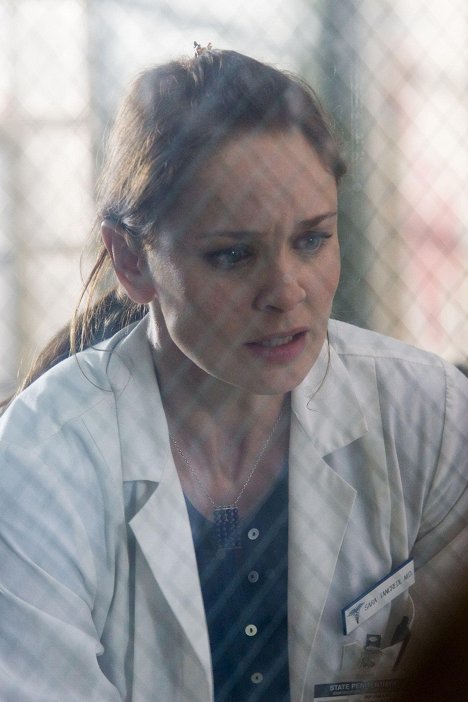Sarah Wayne Callies - Prison Break: Útek z väzenia - Vzbura 1/2 - Z filmu