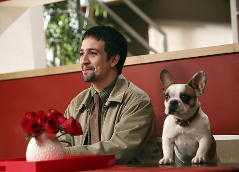 Lin-Manuel Miranda, Hund Brigitte - Modern Family - Haften Kinder für ihre Eltern? - Filmfotos