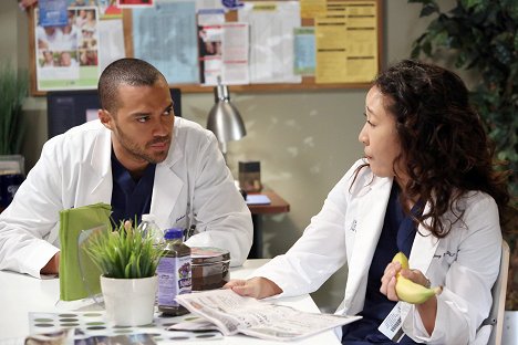 Jesse Williams, Sandra Oh - Grey's Anatomy - The End Is the Beginning Is the End - Photos