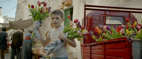 Gianni Pezzolla - Tulipani - De la película