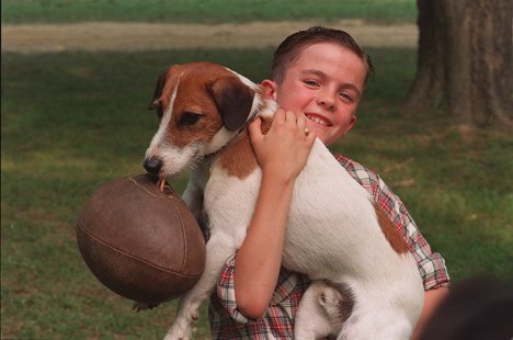 Hund Enzo, Frankie Muniz - Mein Hund Skip - Filmfotos