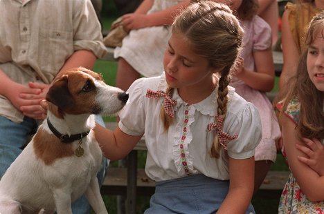 Enzo a kutya, Caitlin Wachs - Kutyám, Skip - Filmfotók