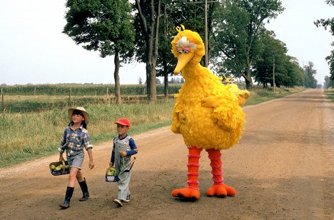 Alyson Court - Sesame Street Presents: Follow That Bird - Van film