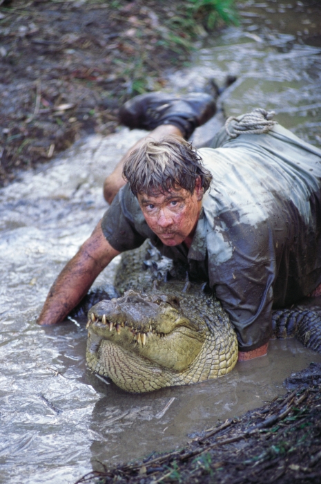 Steve Irwin - The Crocodile Hunter: Collision Course - De filmes