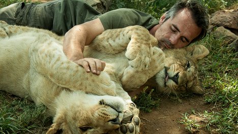 Kevin Richardson - Zwei Löwen auf Reisen - Heimkehr nach Afrika - Filmfotos