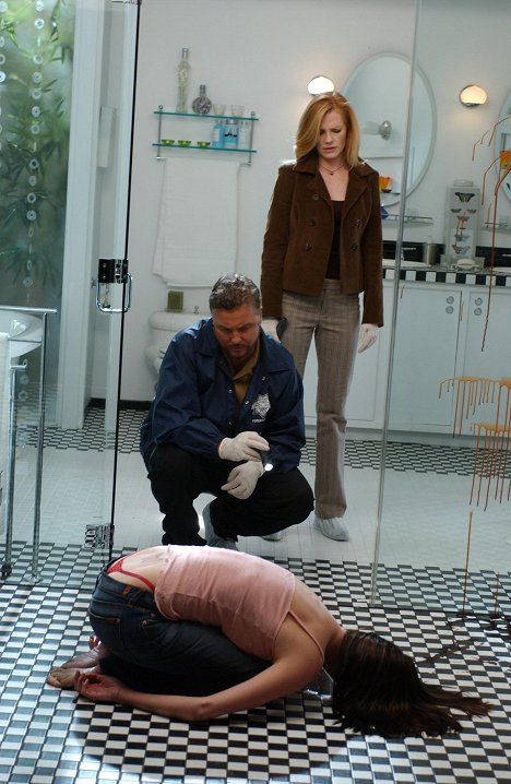 William Petersen, Marg Helgenberger - CSI: Crime Scene Investigation - Butterflied - Photos