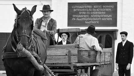 Miklós Székely B., Iván Angelus, Marcell Nagy - 1945 - Photos