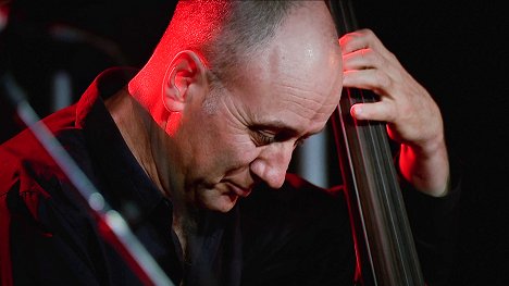 Lloyd Swanton - Yle Live: The Necks ja Tenor Battle - Photos