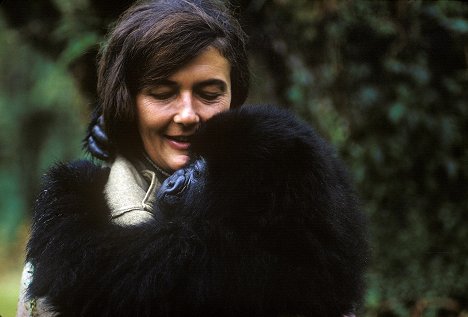 Dian Fossey - Dian Fossey: Secrets in the Mist - De la película