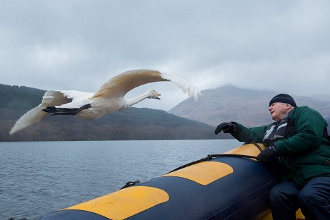David Attenborough - Attenborough at 90: Behind the Lens - Do filme