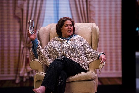 Anna Deavere Smith - Notes from the Field - Photos