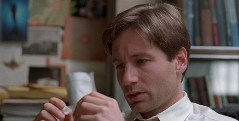 David Duchovny - The X-Files - Nisei - Photos