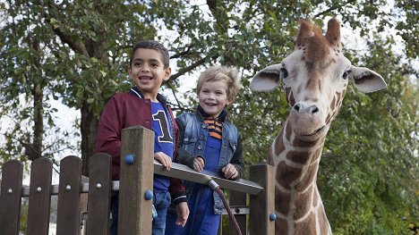 Liam de Vries - Mein Freund, die Giraffe - Filmfotos