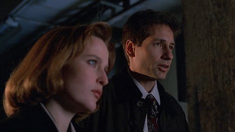 Gillian Anderson, David Duchovny - The X-Files - Salaiset kansiot - Fearful Symmetry - Kuvat elokuvasta
