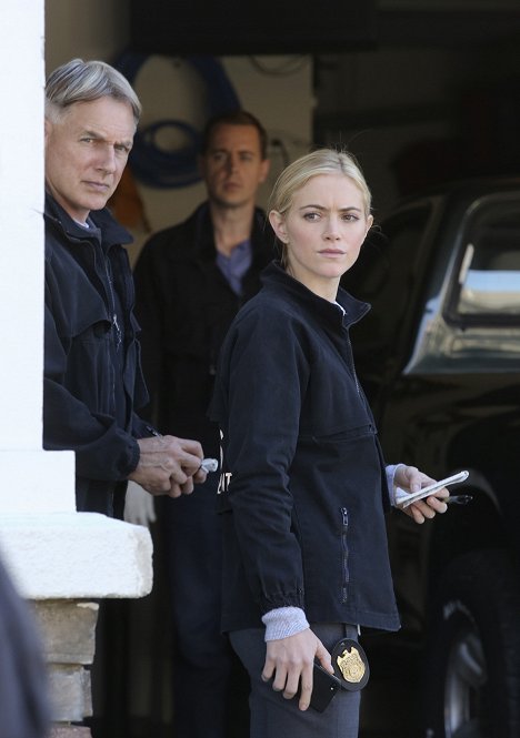 Mark Harmon, Sean Murray, Emily Wickersham - NCIS - Tengerészeti helyszínelők - Helyzetjelentés - Filmfotók