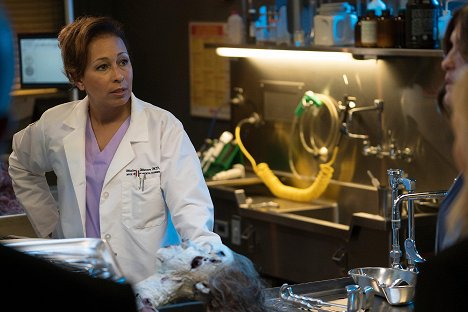 Tamara Tunie - Law & Order: Special Victims Unit - Devil's Dissections - Photos
