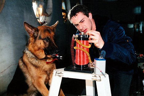 Reginald von Ravenhorst-koira, Gedeon Burkhard - Poliisikoira Rex - Peitetehtävissä - Kuvat elokuvasta