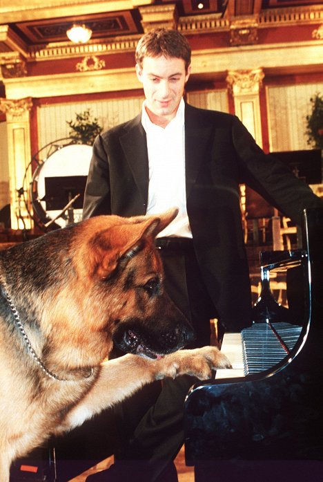 Reginald von Ravenhorst le chien, Gedeon Burkhard - Rex, chien flic - Pour quelques notes de musique - Film