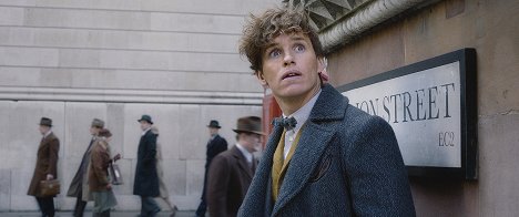 Eddie Redmayne - Les Animaux fantastiques : Les crimes de Grindelwald - Film