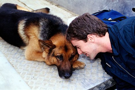 Reginald von Ravenhorst-koira, Gedeon Burkhard - Poliisikoira Rex - Häviäjä - Kuvat elokuvasta