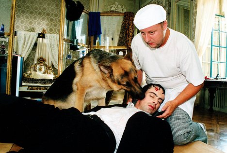 pes Reginald von Ravenhorst, Gedeon Burkhard, Martin Weinek - Rex, o cão polícia - Blinde Wut - De filmes