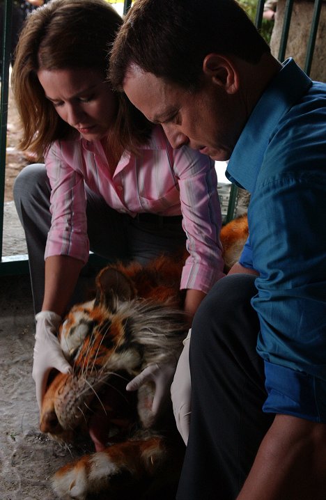 Anna Belknap, Gary Sinise - CSI: New York - Zoo York - Kuvat elokuvasta