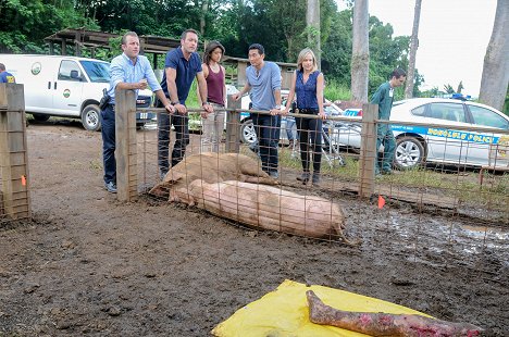 Scott Caan, Alex O'Loughlin, Grace Park, Daniel Dae Kim, Julie Benz - Hawaii 5.0 - Szarada - Z filmu