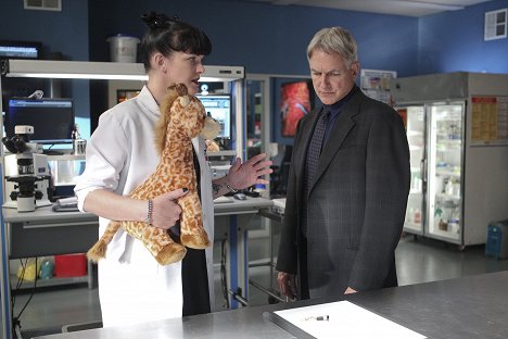 Pauley Perrette, Mark Harmon - NCIS: Naval Criminal Investigative Service - Neverland - Photos