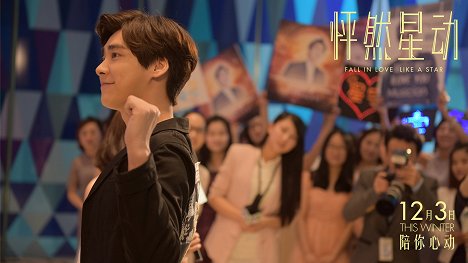 Yifeng Li - Fall in Love Like a Star - Fotocromos