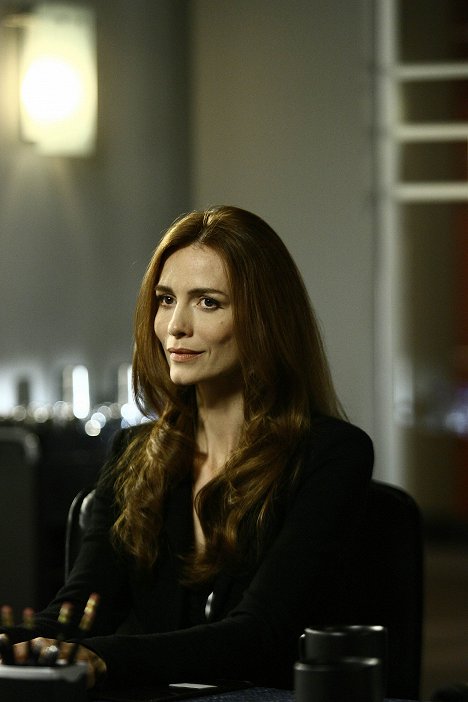 Saffron Burrows - Boston Legal - The Innocent Man - Photos