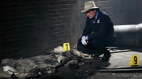 David McCallum - Agenci NCIS - Karencja - Z filmu
