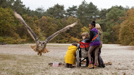 Matheu Hinzen, Jashayra Oehlers - Owls & Mice - Photos