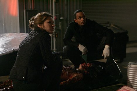 Anna Belknap, Hill Harper - CSI: NY - Trapped - Photos