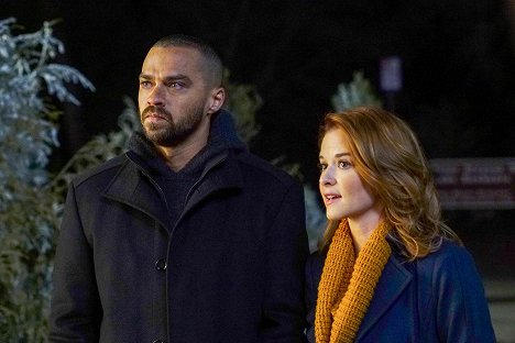 Jesse Williams, Sarah Drew - Grey's Anatomy - Who Is He (And What Is He to You)? - Photos
