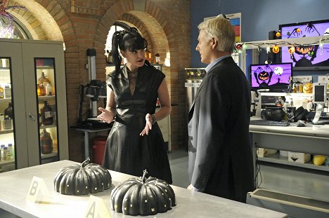 Pauley Perrette, Mark Harmon - NCIS - Tengerészeti helyszínelők - Káros képek - Filmfotók