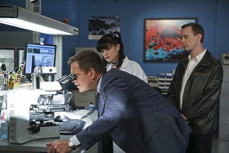 Michael Weatherly, Pauley Perrette, Sean Murray - NCIS: Naval Criminal Investigative Service - 16 Years - Photos