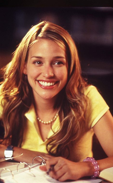 Piper Perabo - Perfect Opposites - Van film