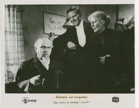 Sigurd Wallén, John Elfström, Gull Natorp - Gay Old Time - Lobby Cards