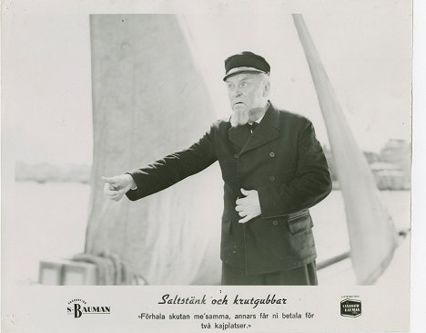 Sigurd Wallén - Saltstänk och krutgubbar - Lobbykaarten