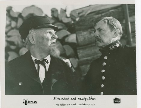 Sigurd Wallén - Saltstänk och krutgubbar - Fotocromos