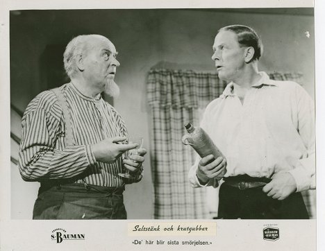 Sigurd Wallén, John Elfström - Saltstänk och krutgubbar - Fotocromos