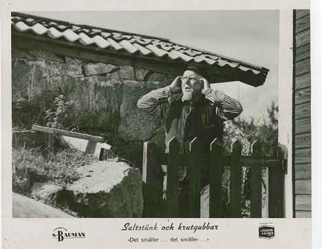 Sigurd Wallén - Saltstänk och krutgubbar - Cartes de lobby