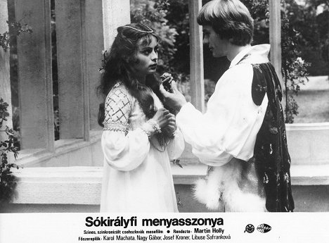 Libuše Šafránková, Gábor Nagy - Salt & Gold - Lobby Cards