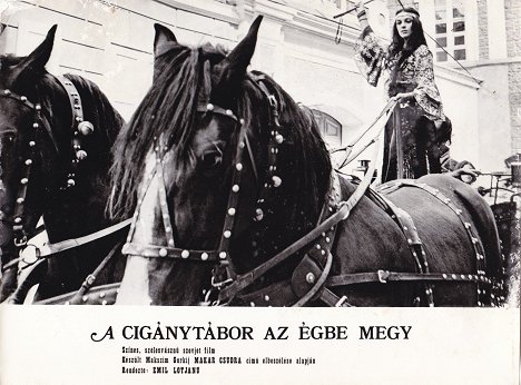 Svetlana Tomová - Queen of the Gypsies - Lobby Cards