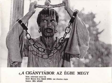 Григорий Григориу - Queen of the Gypsies - Lobby Cards