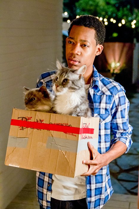 Tyler James Williams - Go On - He Got Game, She Got Cats - Z filmu