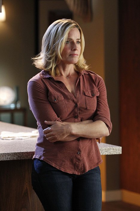 Elisabeth Shue - CSI: Crime Scene Investigation - Boston Brakes - Van film