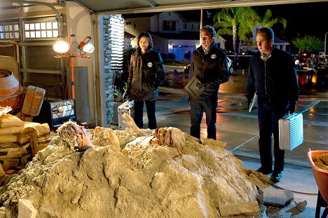 Jorja Fox, Eric Szmanda, David Berman - CSI: Crime Scene Investigation - De Los Muertos - De la película