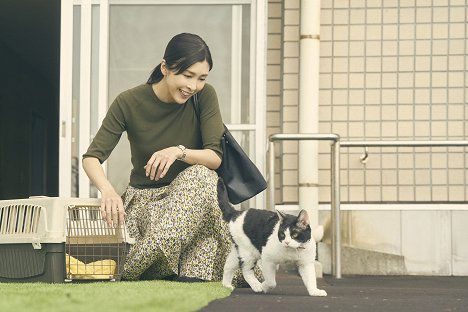 Yuko Takeuchi - The Travelling Cat Chronicles - Photos