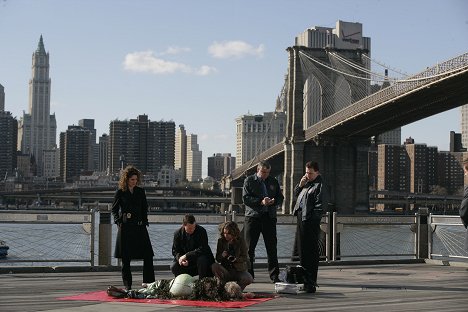 Melina Kanakaredes, Gary Sinise, Anna Belknap - CSI: New York-i helyszínelők - Ellopott otthon - Filmfotók
